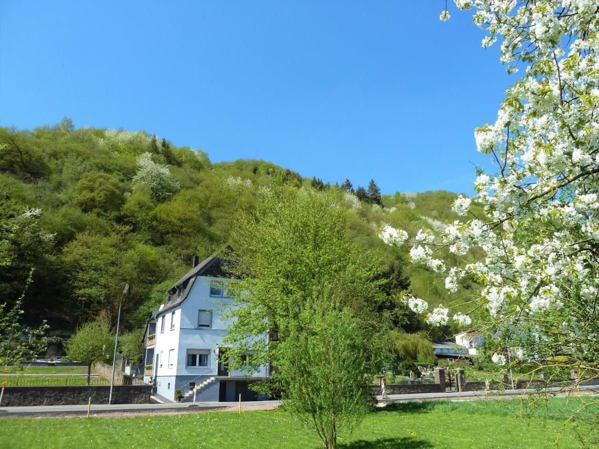 Haus Moselwiese Alf Dış mekan fotoğraf