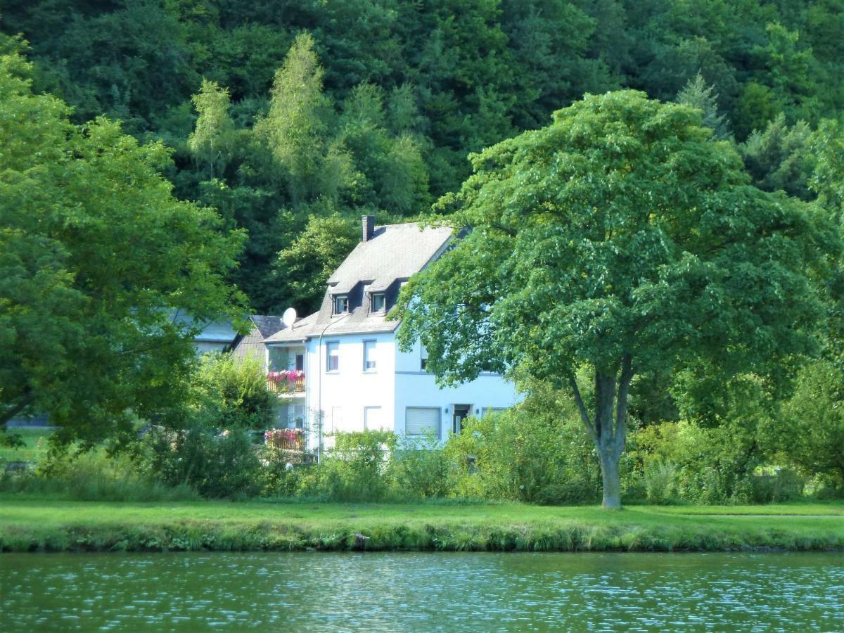 Haus Moselwiese Alf Dış mekan fotoğraf