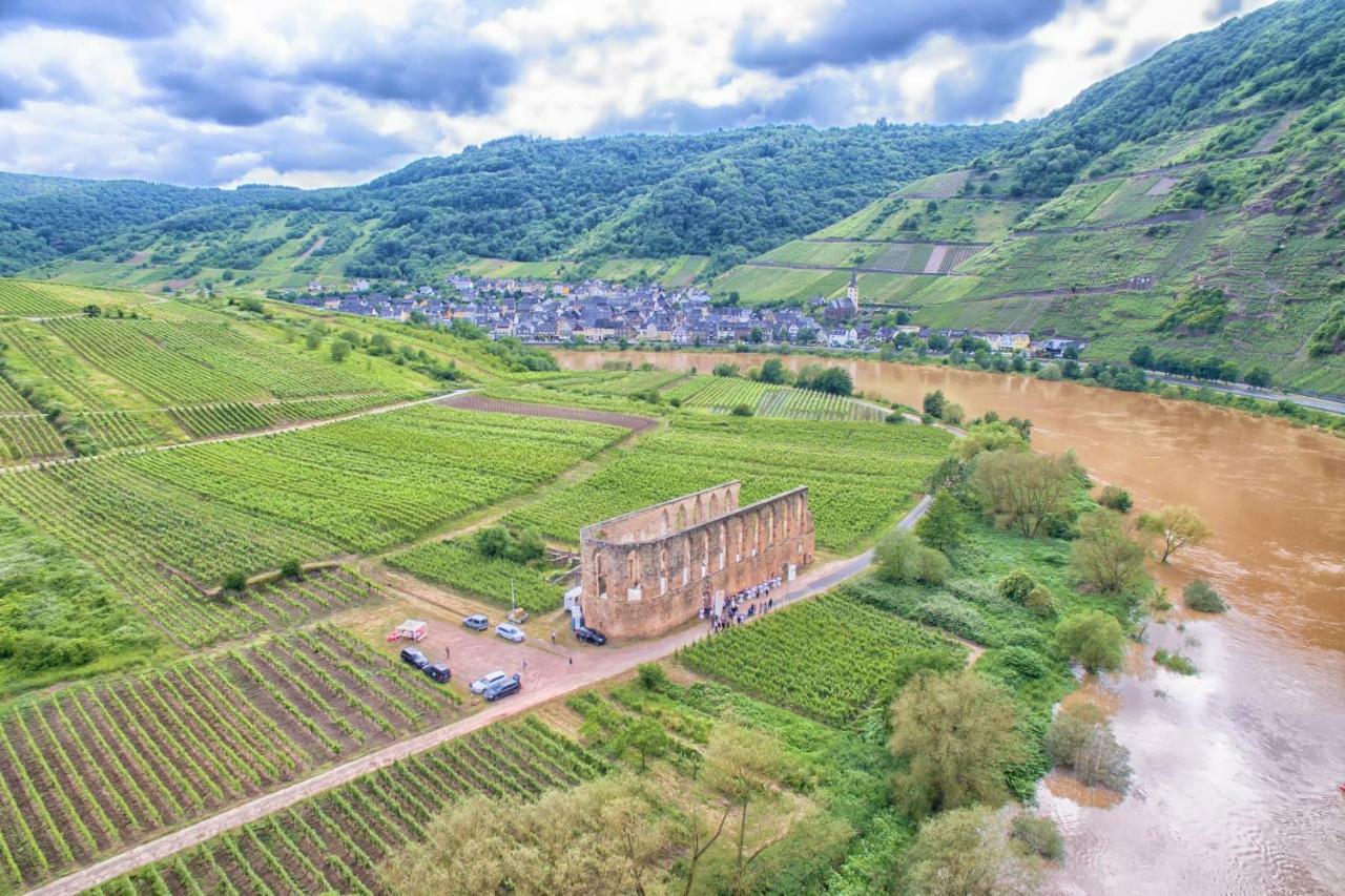 Haus Moselwiese Alf Dış mekan fotoğraf